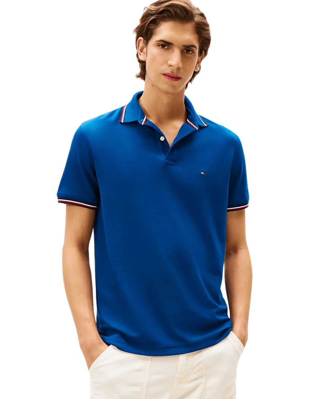 Camiseta Tommy Hilfiger Polo Tec